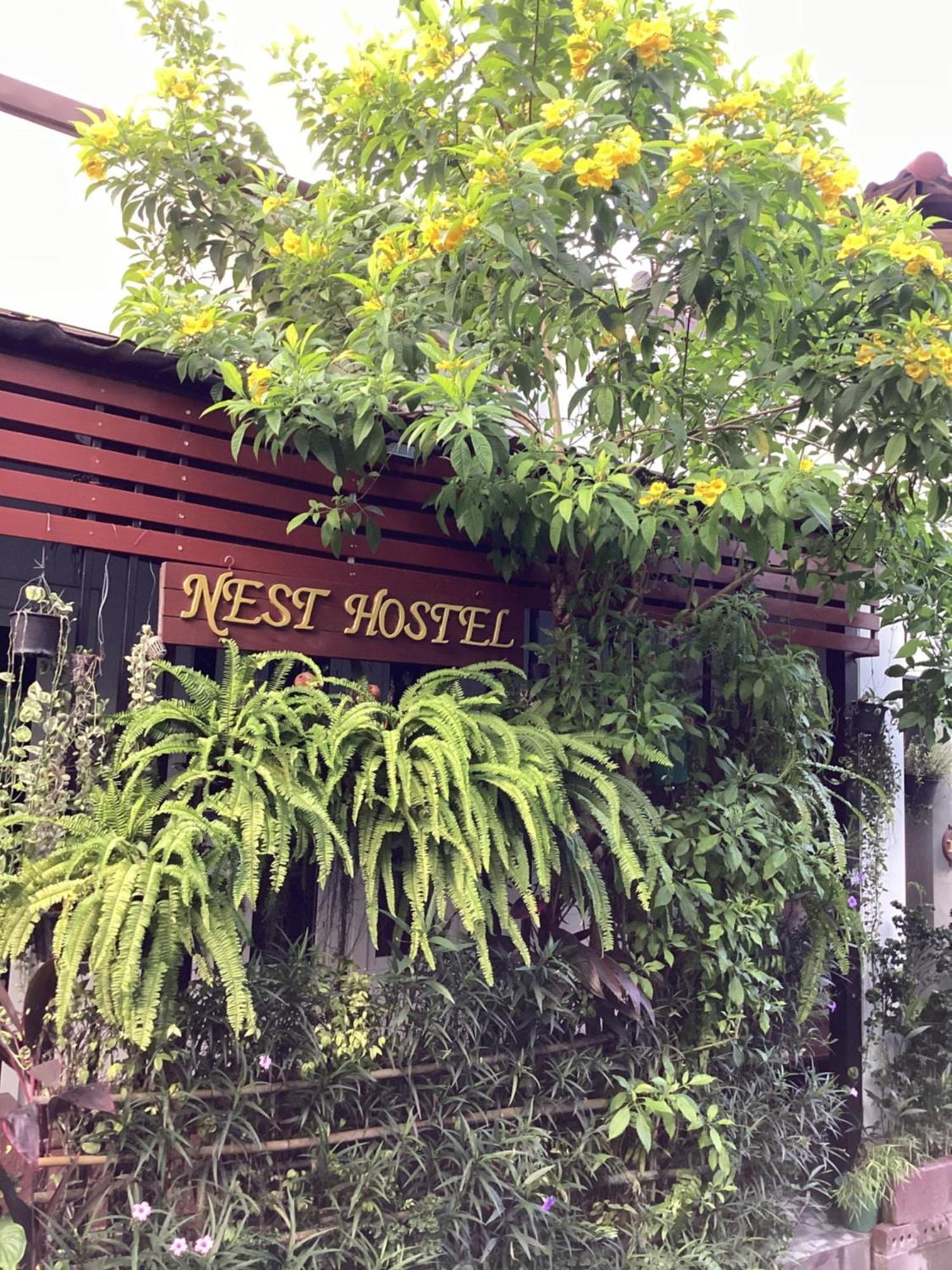 Nest Hostel Lipe Zewnętrze zdjęcie